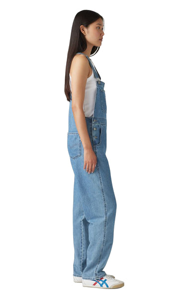 Vintage Overalls in 'Chill Day'
