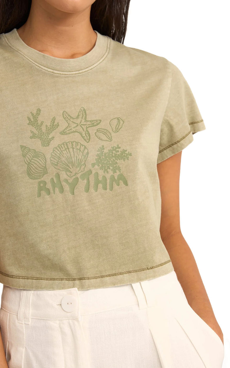 Beachcomber Crop Tee in Ivy