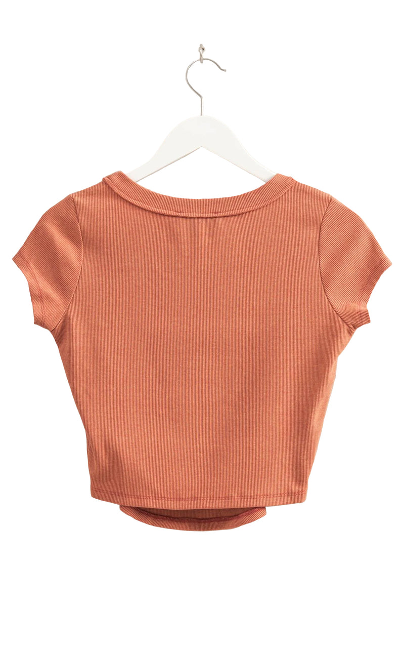 Mineral Wash Short Sleeve Tee in Brick