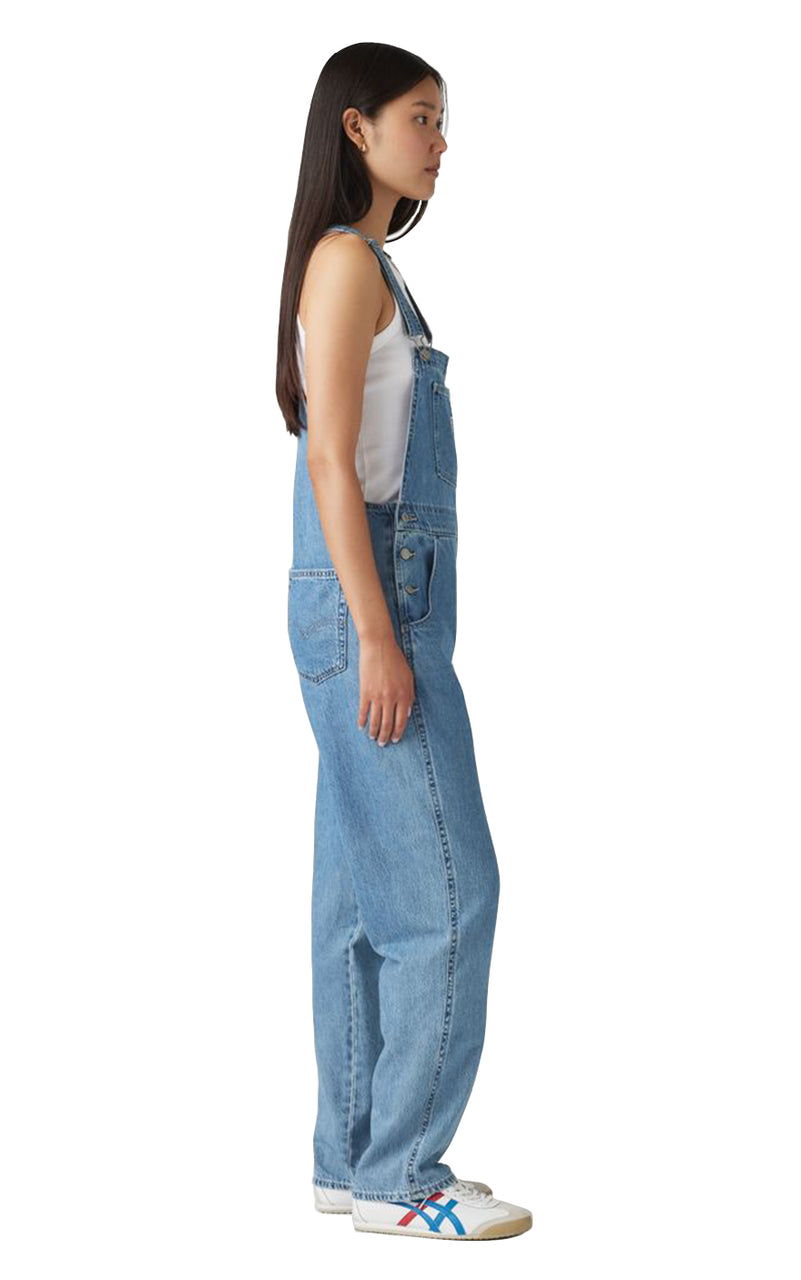Vintage Overalls in 'Chill Day'
